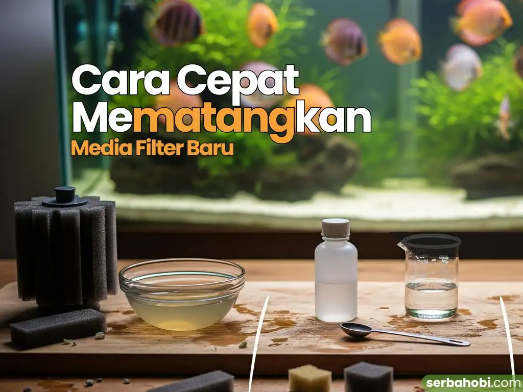 Cara Cepat Mematangkan Media Filter Baru
