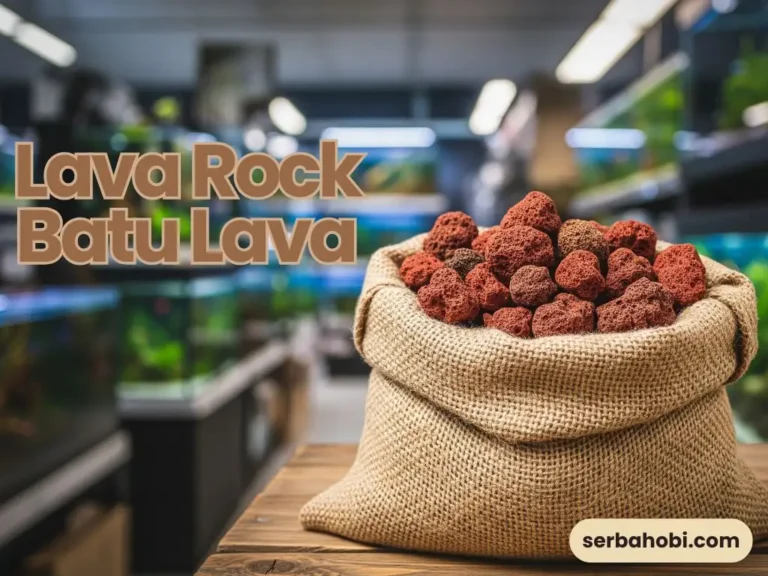 Lava Rock Media Filter Biologis