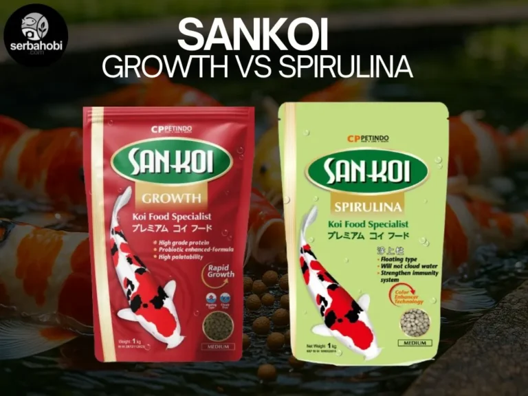 perbandingan dan perbedaan fungsi pelet sankoi growth vs spirulina