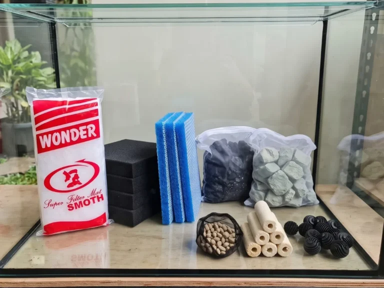Jangan Asal Susun! Kenali 3 Jenis Media Filter Aquarium yang Wajib Ada di Filter