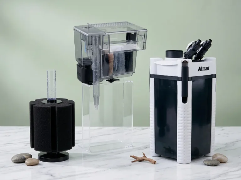 Jenis Filter Aquarium dan Cara Kerjanya – Dari Top sampai Canister