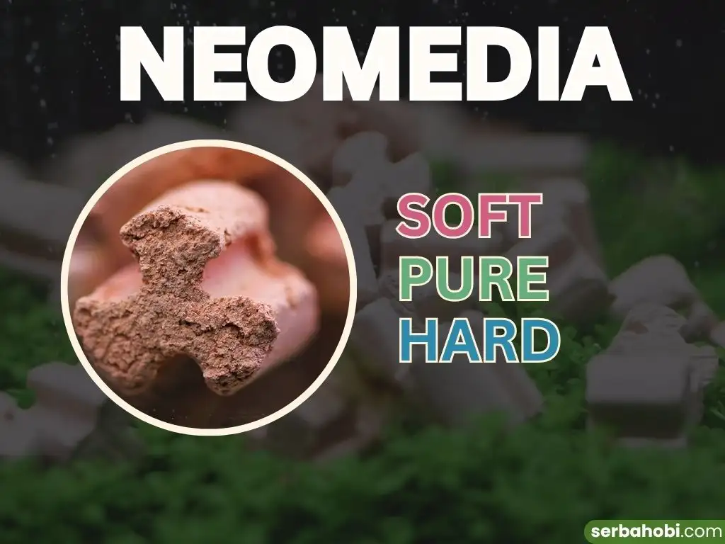 Review Lengkap Neo Media Aquario
