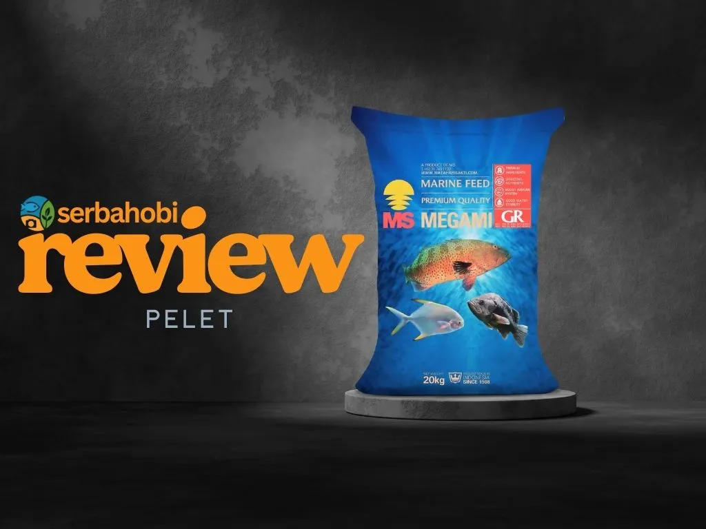 Kemasan 20kg pakan ikan laut premium MS Megami GR yang sedang direview, menampilkan gambar ikan kerapu di bagian depan kemasan.