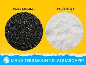 Pasir Malang vs Pasir Silika: Mana Terbaik untuk Aquascape?