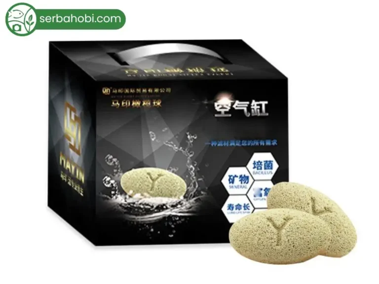 media filter aquarium Mayin Rugby