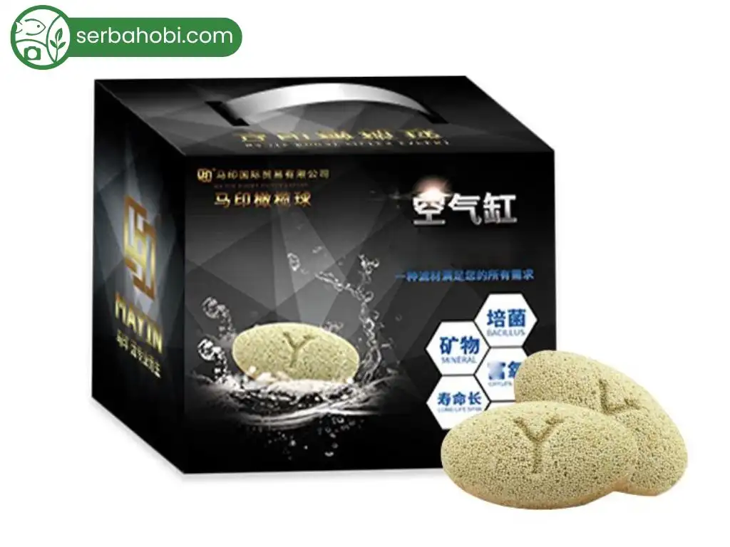 media filter aquarium Mayin Rugby